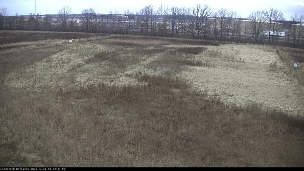 Cell 3_23-12-26_16-38-37-63