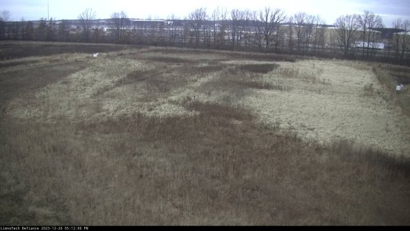 Cell 3_23-12-26_17-12-06-62