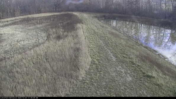 Cell 4 to Basin_23-12-26_11-38-09-66