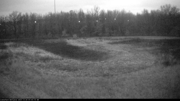 Cell 4_23-12-26_07-43-15-61