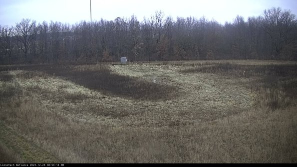 Cell 4_23-12-26_08-50-14-61