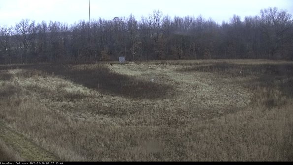 Cell 4_23-12-26_09-57-13-61