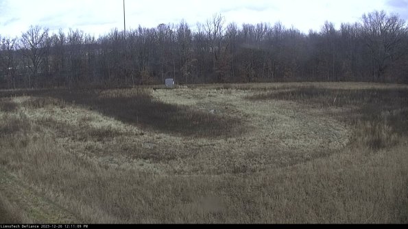 Cell 4_23-12-26_12-11-09-61