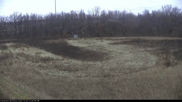 Cell 4_23-12-26_12-44-38-60