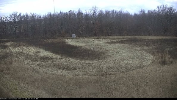 Cell 4_23-12-26_16-39-05-63