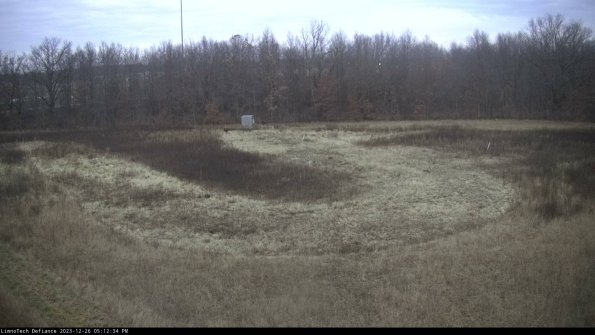 Cell 4_23-12-26_17-12-34-61