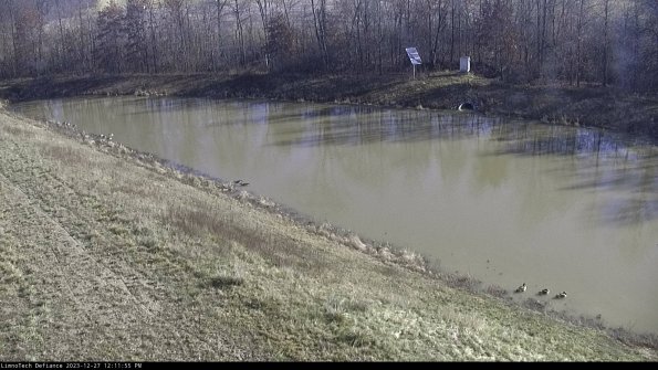 Basin_23-12-27_12-11-55-77