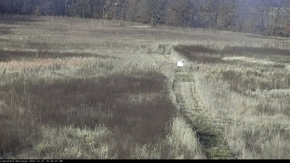 Cell 1 to 2_23-12-27_10-29-37-61