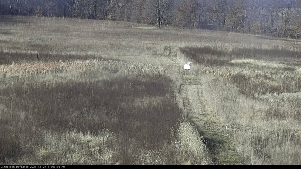 Cell 1 to 2_23-12-27_11-03-06-62