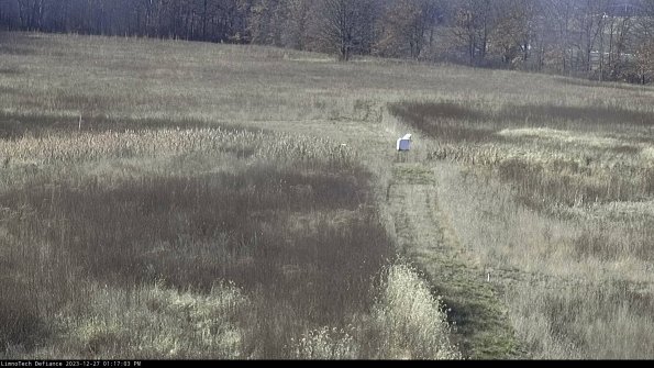 Cell 1 to 2_23-12-27_13-17-03-59