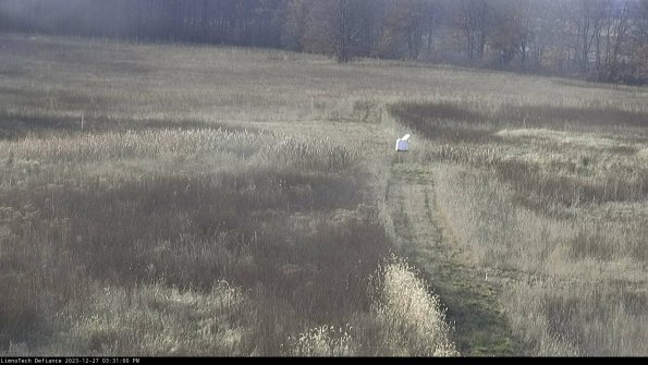 Cell 1 to 2_23-12-27_15-31-00-60