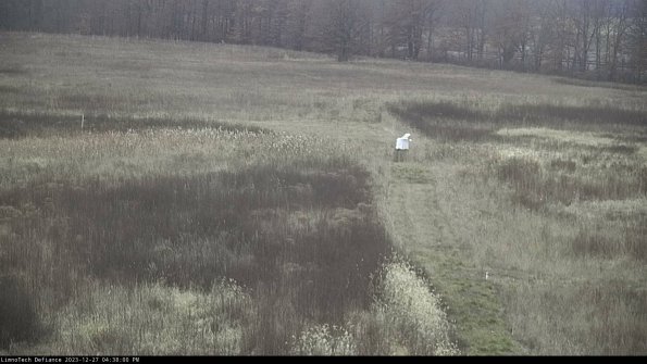 Cell 1 to 2_23-12-27_16-38-00-61