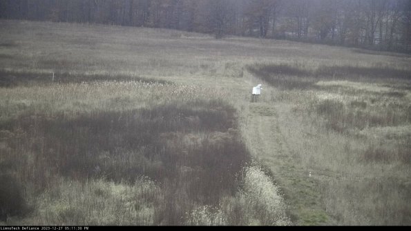 Cell 1 to 2_23-12-27_17-11-30-59