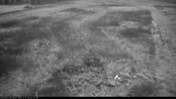 Cell 1_23-12-27_07-41-55-58