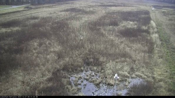 Cell 1_23-12-27_08-15-26-63