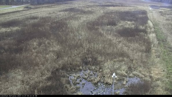 Cell 1_23-12-27_09-22-26-63