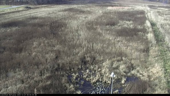 Cell 1_23-12-27_09-55-54-61