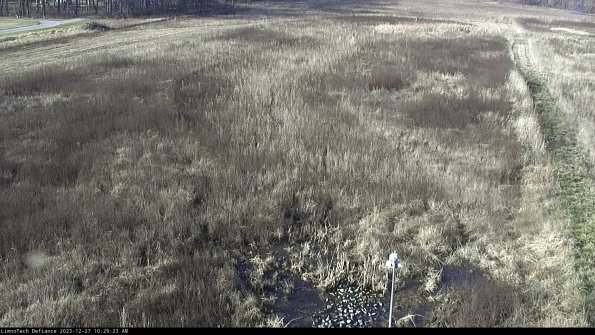 Cell 1_23-12-27_10-29-23-59