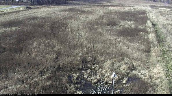 Cell 1_23-12-27_11-02-52-61