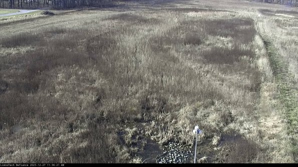 Cell 1_23-12-27_11-36-21-59