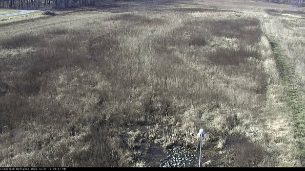 Cell 1_23-12-27_12-09-51-61