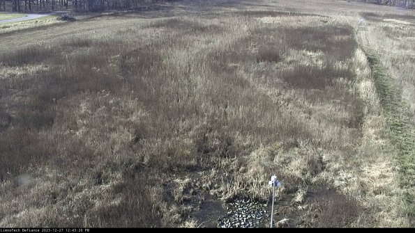 Cell 1_23-12-27_12-43-20-60