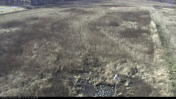 Cell 1_23-12-27_13-16-49-61