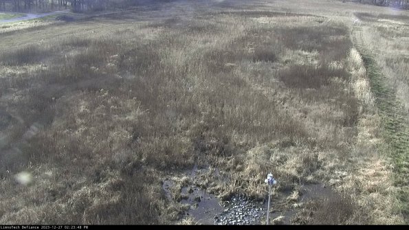 Cell 1_23-12-27_14-23-48-62