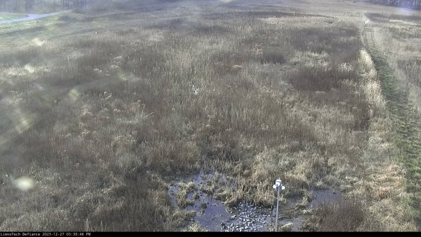 Cell 1_23-12-27_15-30-46-59