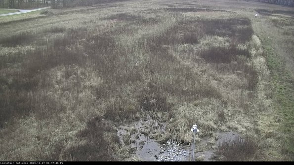 Cell 1_23-12-27_16-37-46-63