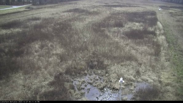 Cell 1_23-12-27_17-11-16-61