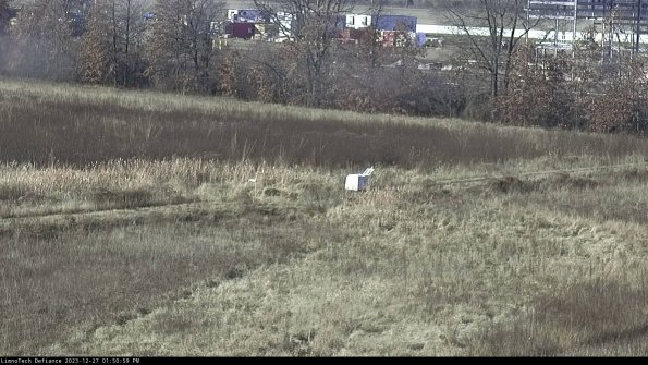 Cell 2 to 3_23-12-27_13-50-59-81