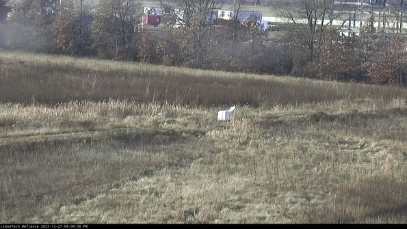 Cell 2 to 3_23-12-27_16-04-56-65