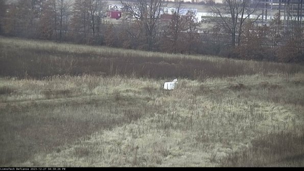 Cell 2 to 3_23-12-27_16-38-26-73