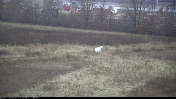 Cell 2 to 3_23-12-27_17-11-56-68