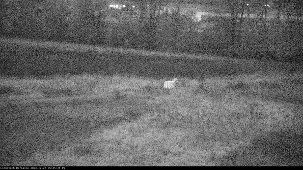 Cell 2 to 3_23-12-27_17-45-25-60