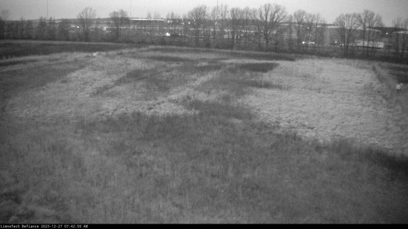 Cell 3_23-12-27_07-42-50-61