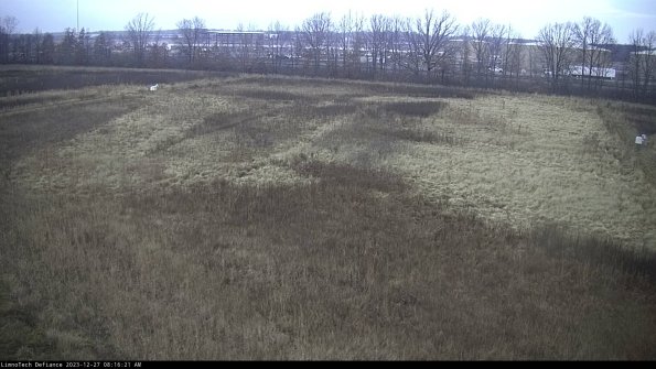 Cell 3_23-12-27_08-16-21-62