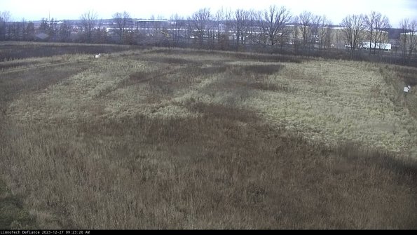 Cell 3_23-12-27_09-23-20-82