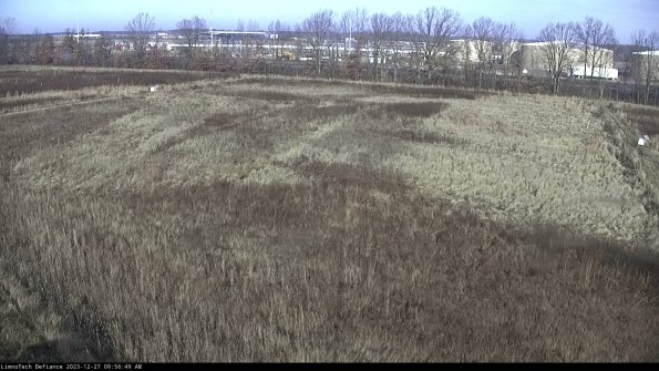 Cell 3_23-12-27_09-56-49-63