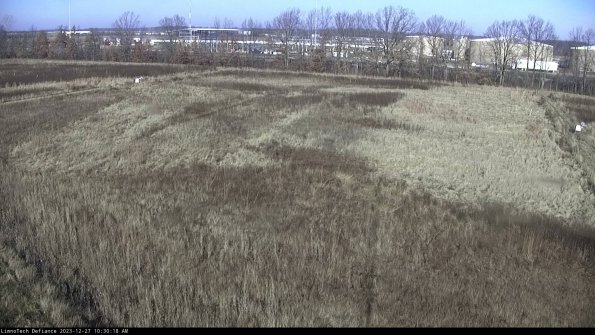 Cell 3_23-12-27_10-30-18-61