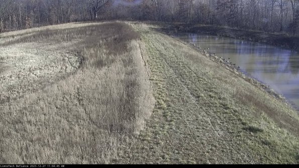 Cell 4 to Basin_23-12-27_11-04-45-59