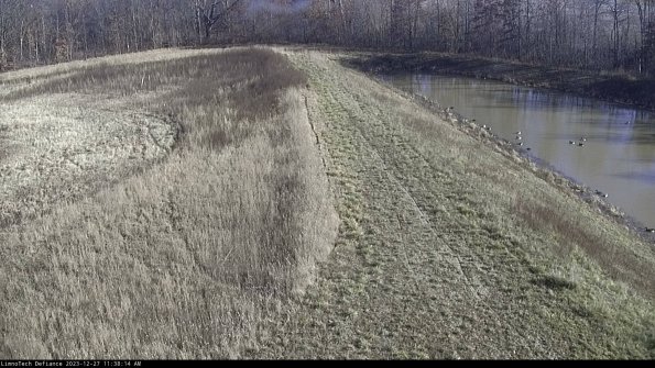 Cell 4 to Basin_23-12-27_11-38-14-61