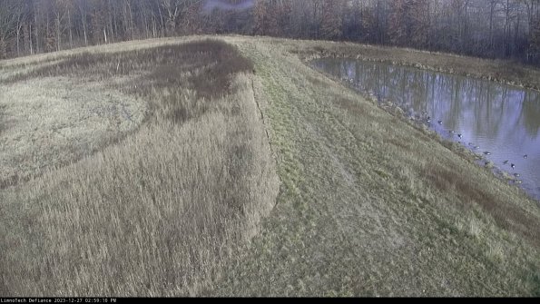 Cell 4 to Basin_23-12-27_14-59-10-62