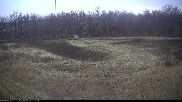 Cell 4_23-12-27_08-16-49-62