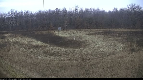 Cell 4_23-12-27_08-50-19-63