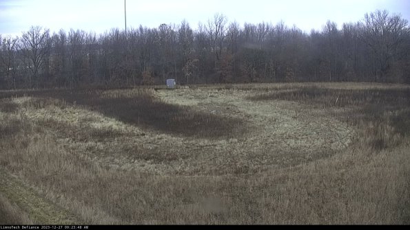 Cell 4_23-12-27_09-23-48-61