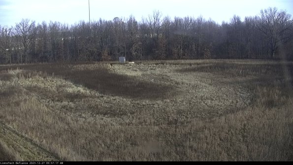 Cell 4_23-12-27_09-57-17-63