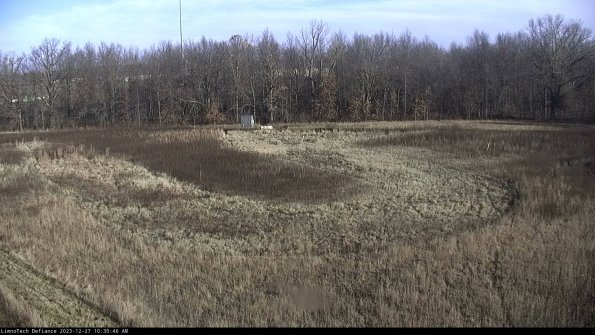 Cell 4_23-12-27_10-30-46-61