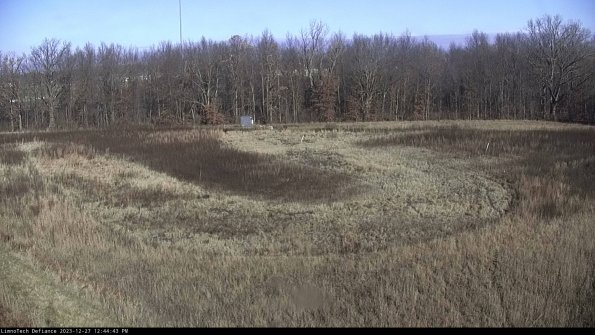 Cell 4_23-12-27_12-44-43-61